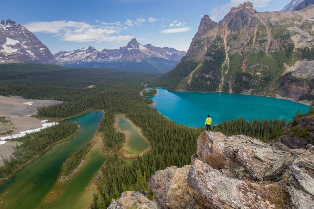 Uitzicht op Lake O'Hara vanaf Opabin Prospect