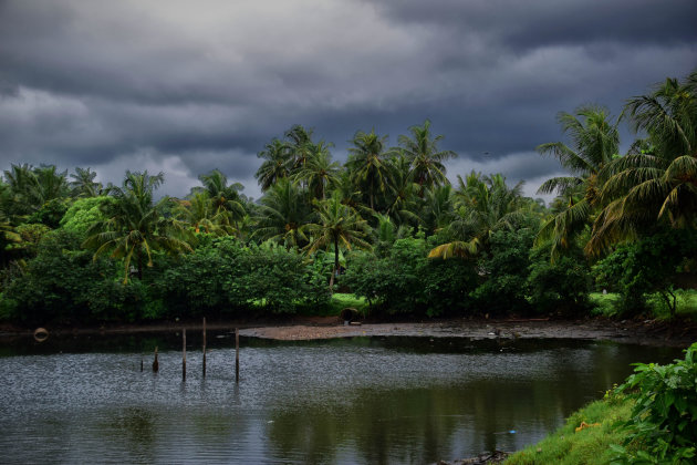 Jungletochten in Sri Lanka