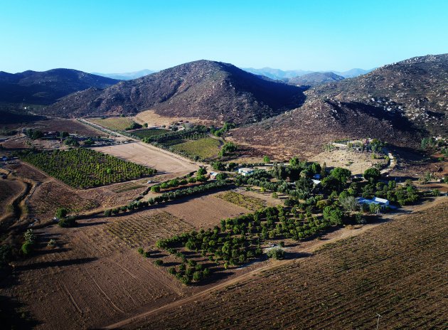 De wijnroute in Baja California! 