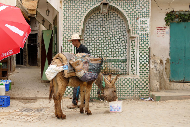 Moulay Idriss