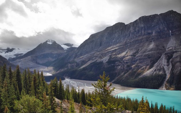 Peyto Lake