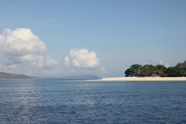 Zeekoeien spotten in Coron