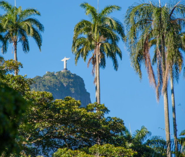 Botanische tuinen Rio