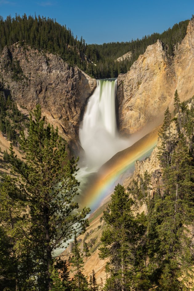 Lower Yellowstone Falls