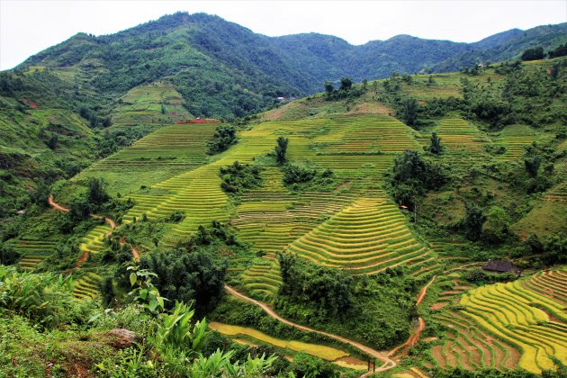 Viewpoint Sapa