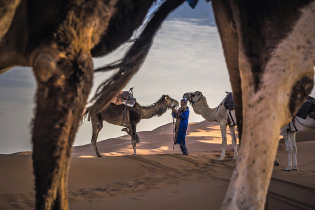 Doorkijkje in Erg Chebbi