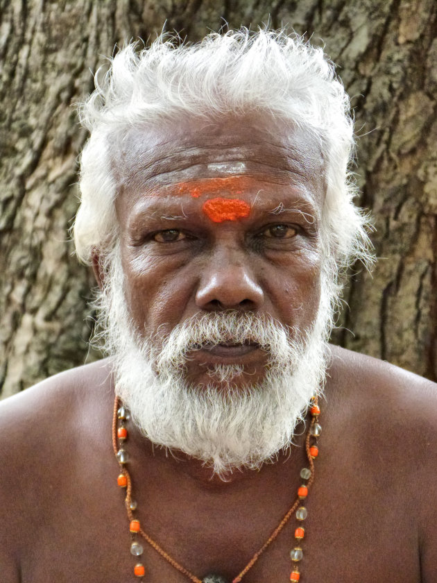 Kataragama festival