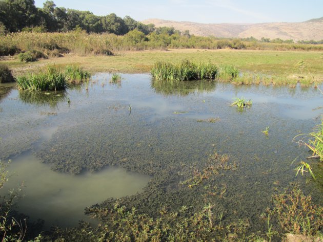 Hula Valley