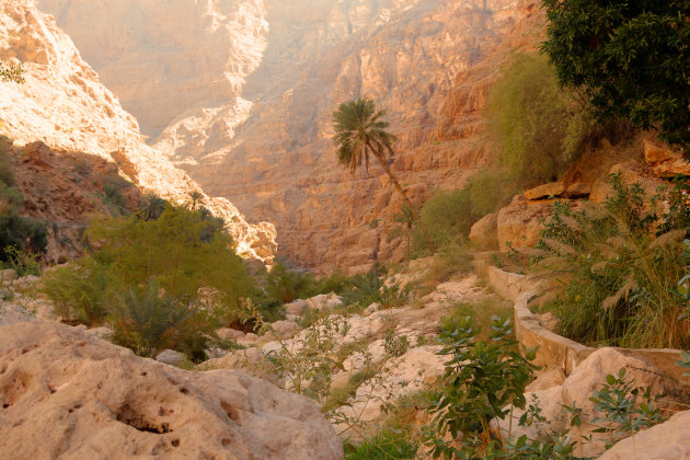 Wadi Shab