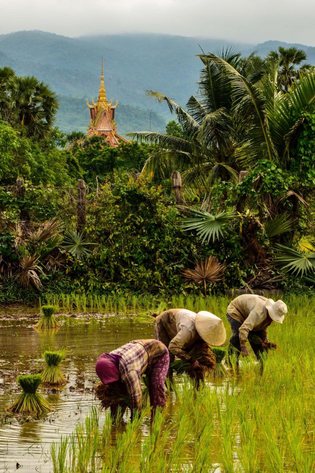 Al het moois uit Cambodja