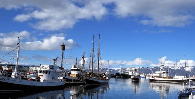 in de haven van Husavik