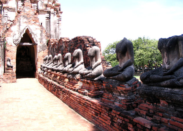 Koppensnellers in Ayutthaya