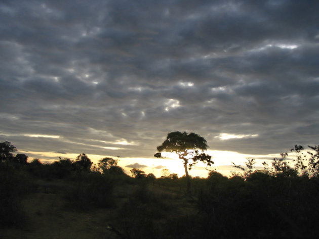 Wasgamuwa National Park