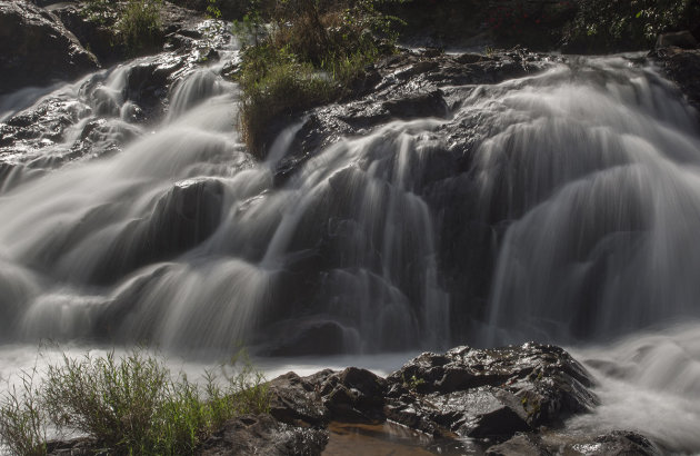 Slowing down in Cat Tien NP