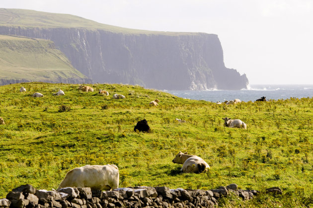 Intro foto Moher