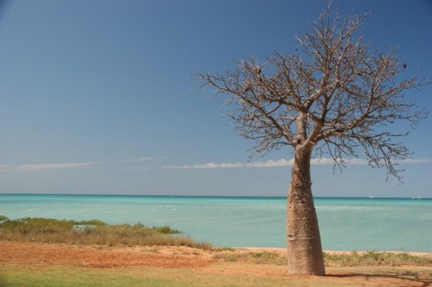 Intro foto Broome