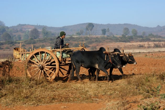 Intro foto Taunggyi