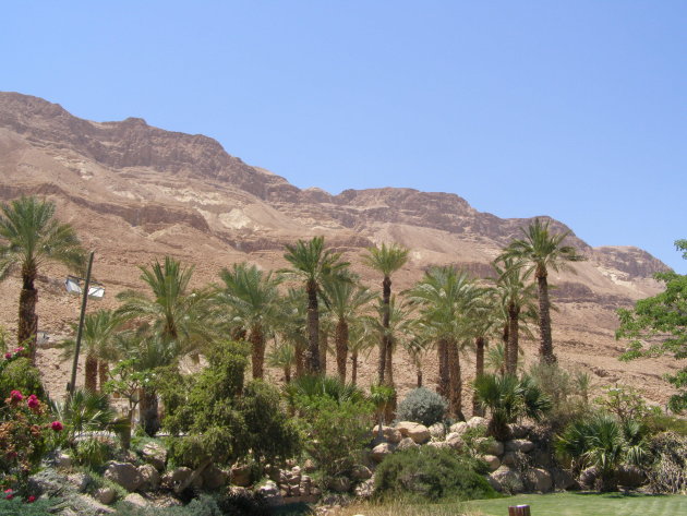 Intro foto Ein Gedi