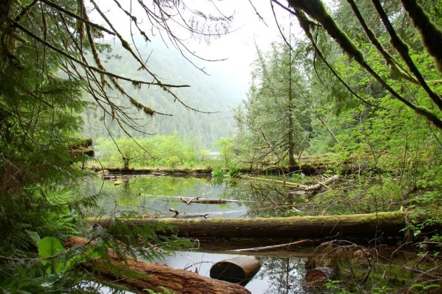 Pacific Rim National Park