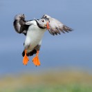 profile image Harry-Eggens