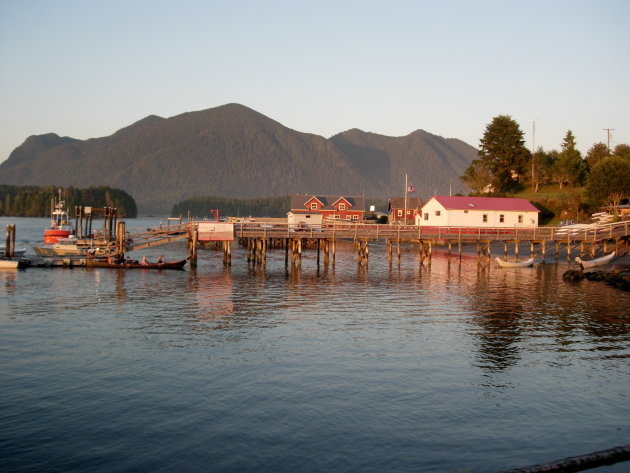 Tofino