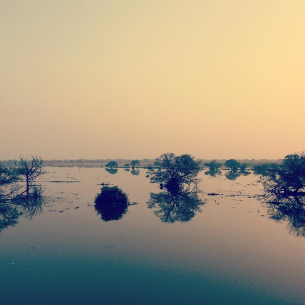 Vogelpark Bharatpur bij zonsondergang