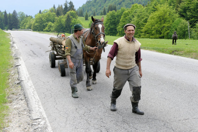 Paard en wagen