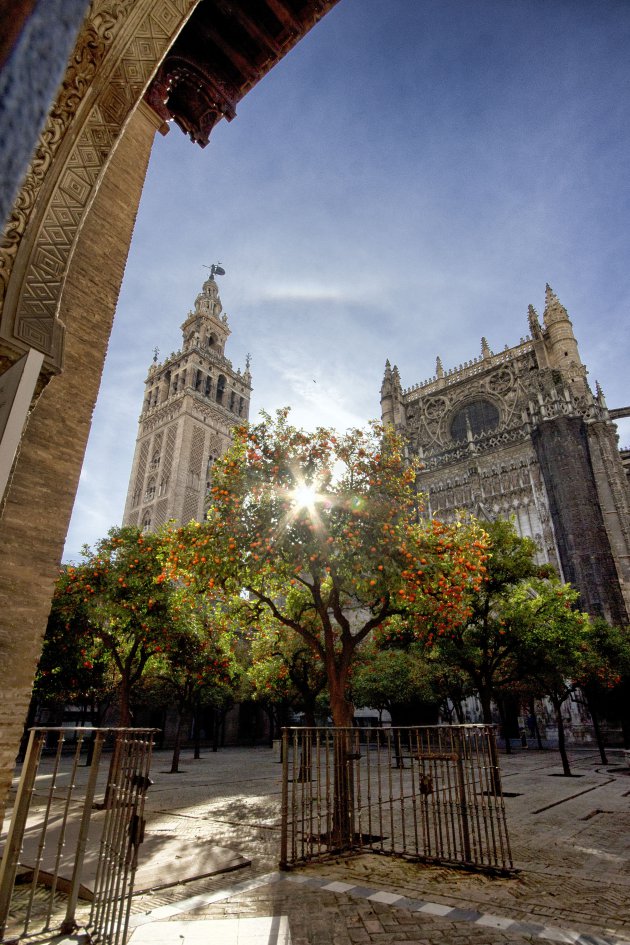 Catedral de Santa María de la Sede