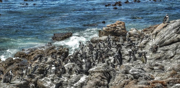 Kleine obertjes op Stony Point