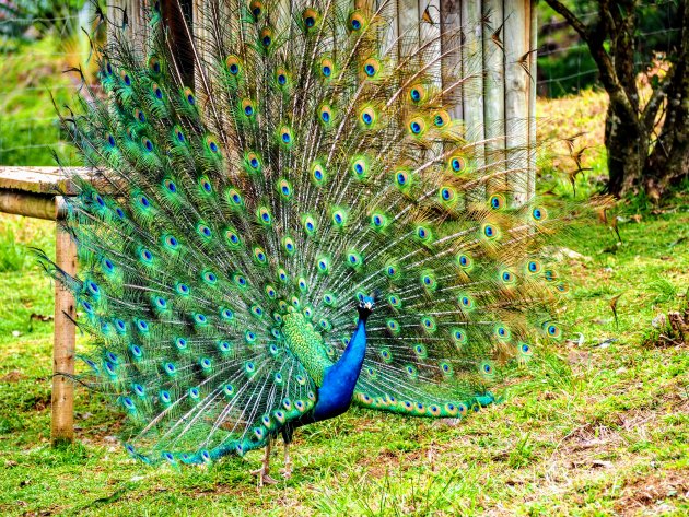 La valleé des couleurs