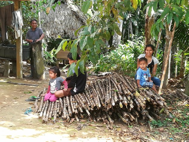 Meet de Amazon locals