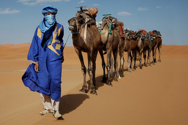 blauwe man en zijn dromedarissen