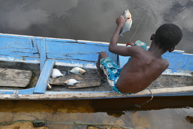 Piranhas vangen in de jungle van Suriname