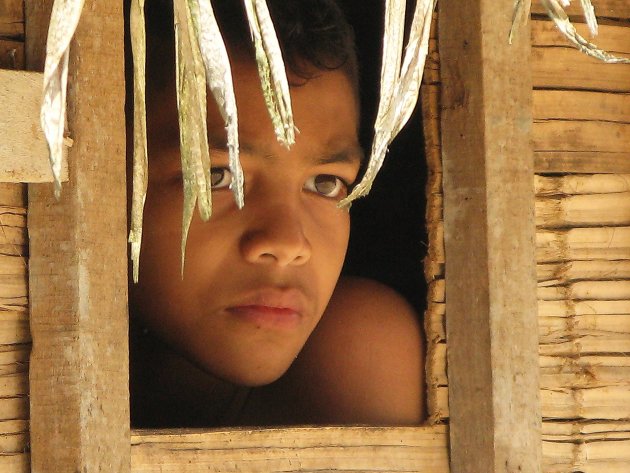 Orang Asli