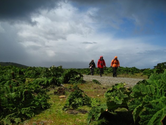 Chiloé